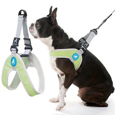 Gooby Simple Step in III Harness Green Medium Small Dog Harness with Scratch Resistant Outer Vest Soft Inner Mesh Harness for Small Medium Dogs