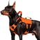 WINGOIN Orange Tactical Dog Harness for Large Dogs Heavy Duty No Pull Dog Harness with Handle Adjustable Reflective Military K9 German Shepherd Big Size Dog Vest for Walking Training Hunting L