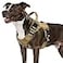 WINGOIN Tactical Dog Harness for Medium Dogs Heavy Duty No Pull Dog Harness with Handle Adjustable Reflective Military K9 Pet Vest for Pitbull Female Male Walking Training Hunting Khaki M