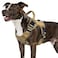 WINGOIN Tactical Dog Harness for Medium Dogs Heavy Duty No Pull Dog Harness with Handle Adjustable Reflective Military K9 Pet Vest for Pitbull Female Male Walking Training Hunting Khaki M