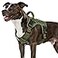 WINGOIN Green Tactical Dog Harness for Medium Dogs Heavy Duty No Pull Dog Harness with Handle Adjustable Reflective Military K9 Pet Vest for Pitbull Female Male Walking Training Hunting M