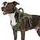 WINGOIN Green Tactical Dog Harness for Medium Dogs Heavy Duty No Pull Dog Harness with Handle Adjustable Reflective Military K9 Pet Vest for Pitbull Female Male Walking Training Hunting M