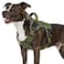 WINGOIN Green Tactical Dog Harness for Medium Dogs Heavy Duty No Pull Dog Harness with Handle Adjustable Reflective Military K9 Pet Vest for Pitbull Female Male Walking Training Hunting M