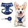 SCENEREAL Puppy Dog Harness with Leash Set for Small Medium Sized Dogs Soft Mesh Pet Harnesses and Leash No Chock Plaid Adjustable No Pull Vest for Dogs Cats ChihuahuaBulldog Blue M