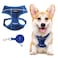 SCENEREAL Puppy Dog Harness with Leash Set for Small Medium Sized Dogs Soft Mesh Pet Harnesses and Leash No Chock Plaid Adjustable No Pull Vest for Dogs Cats ChihuahuaBulldog Blue M