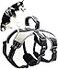 Mihachi Escape Proof Dog Harness No Pull Reflective Dogs Harness Vest with Lift Handle Adjustable Soft Padded No Slip Pet Harness Training Easy Control for Medium Large Dogs