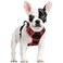rabbitgoo Dog Harness No Pull with 2 Leash Clips Adjustable Soft Padded Reflective Oxford No Choke Pet Vest with Easy Control Handle for Small Dogs Black Red S