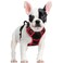 rabbitgoo Dog Harness No Pull with 2 Leash Clips Adjustable Soft Padded Reflective Oxford No Choke Pet Vest with Easy Control Handle for Small Dogs Black Red S