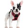 rabbitgoo Dog Harness No Pull with 2 Leash Clips Adjustable Soft Padded Reflective Oxford No Choke Pet Vest with Easy Control Handle for Small Dogs Black Red S