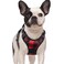 rabbitgoo Dog Harness No Pull with 2 Leash Clips Adjustable Soft Padded Reflective Oxford No Choke Pet Vest with Easy Control Handle for Small Dogs Red Plaid S