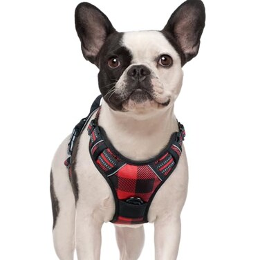 rabbitgoo Dog Harness No Pull with 2 Leash Clips Adjustable Soft Padded Reflective Oxford No Choke Pet Vest with Easy Control Handle for Small Dogs Red Plaid S