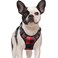 rabbitgoo Dog Harness No Pull with 2 Leash Clips Adjustable Soft Padded Reflective Oxford No Choke Pet Vest with Easy Control Handle for Small Dogs Red Plaid S