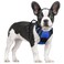 rabbitgoo Dog Harness No Pull with 2 Leash Clips Adjustable Soft Padded Reflective Oxford No Choke Pet Vest with Easy Control Handle for Small Dogs Dazzling Blue S