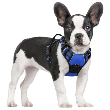 rabbitgoo Dog Harness No Pull with 2 Leash Clips Adjustable Soft Padded Reflective Oxford No Choke Pet Vest with Easy Control Handle for Small Dogs Dazzling Blue S