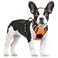 rabbitgoo Dog Harness No Pull with 2 Leash Clips Adjustable Soft Padded Reflective Oxford No Choke Pet Vest with Easy Control Handle for Small DogsOrangeS