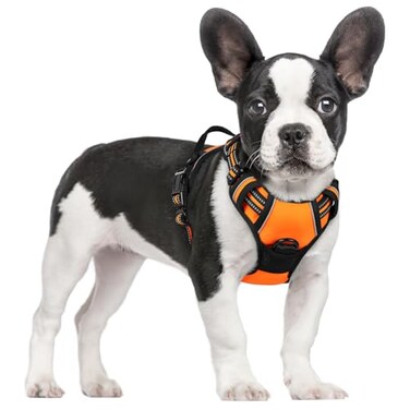 rabbitgoo Dog Harness No Pull with 2 Leash Clips Adjustable Soft Padded Reflective Oxford No Choke Pet Vest with Easy Control Handle for Small DogsOrangeS
