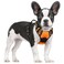 rabbitgoo Dog Harness No Pull with 2 Leash Clips Adjustable Soft Padded Reflective Oxford No Choke Pet Vest with Easy Control Handle for Small DogsOrangeS