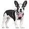 rabbitgoo Dog Harness No Pull with 2 Leash Clips Adjustable Soft Padded Reflective Oxford No Choke Pet Vest with Easy Control Handle for Small Dogs Pink S