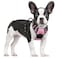 rabbitgoo Dog Harness No Pull with 2 Leash Clips Adjustable Soft Padded Reflective Oxford No Choke Pet Vest with Easy Control Handle for Small Dogs Pink S