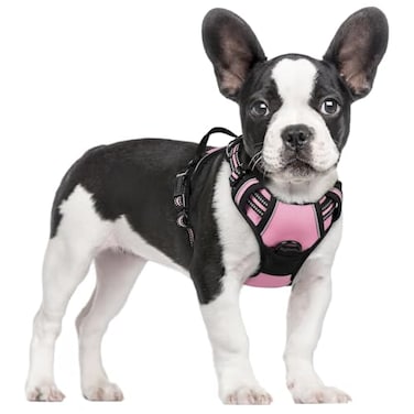 rabbitgoo Dog Harness No Pull with 2 Leash Clips Adjustable Soft Padded Reflective Oxford No Choke Pet Vest with Easy Control Handle for Small Dogs Pink S
