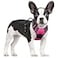 rabbitgoo Dog Harness No Pull with 2 Leash Clips Adjustable Soft Padded Reflective Oxford No Choke Pet Vest with Easy Control Handle for Large Dogs Hot Pink S