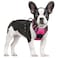 rabbitgoo Dog Harness No Pull with 2 Leash Clips Adjustable Soft Padded Reflective Oxford No Choke Pet Vest with Easy Control Handle for Large Dogs Hot Pink S