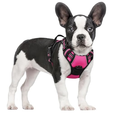 rabbitgoo Dog Harness No Pull with 2 Leash Clips Adjustable Soft Padded Reflective Oxford No Choke Pet Vest with Easy Control Handle for Large Dogs Hot Pink S