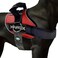 Joyride Harness 20 The Original Side Ring No Pull Dog Harness No Choke Escape Proof Reflective 3 Leash Clips Quick Fit Pet Vest Easy Walks Training for Small Medium Large Dogs