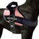 Joyride Harness 20 The Original Side Ring No Pull Dog Harness No Choke Escape Proof Reflective 3 Leash Clips Quick Fit Pet Vest Easy Walks Training for Small Medium Large Dogs
