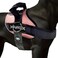 Joyride Harness 20 The Original Side Ring No Pull Dog Harness No Choke Escape Proof Reflective 3 Leash Clips Quick Fit Pet Vest Easy Walks Training for Small Medium Large Dogs