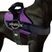 Joyride Harness 20 The Original Side Ring No Pull Dog Harness No Choke Escape Proof Reflective 3 Leash Clips Quick Fit Pet Vest Easy Walks Training for Small Medium Large Dogs