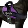 Joyride Harness 20 The Original Side Ring No Pull Dog Harness No Choke Escape Proof Reflective 3 Leash Clips Quick Fit Pet Vest Easy Walks Training for Small Medium Large Dogs