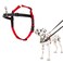 Halti Front Control Harness Stop Your Dog Pulling on the Leash Adjustable Lightweight and Easy to Use AntiPull Dog Training Harness for Medium Dogs Size M