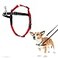 Halti Front Control Harness Stop Your Dog Pulling on the Leash Adjustable Lightweight and Easy to Use AntiPull Dog Training Harness for Small Dogs Size S