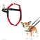Halti Front Control Harness Stop Your Dog Pulling on the Leash Adjustable Lightweight and Easy to Use AntiPull Dog Training Harness for Small Dogs Size S
