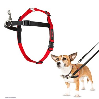 Halti Front Control Harness Stop Your Dog Pulling on the Leash Adjustable Lightweight and Easy to Use AntiPull Dog Training Harness for Small Dogs Size S