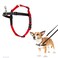 Halti Front Control Harness Stop Your Dog Pulling on the Leash Adjustable Lightweight and Easy to Use AntiPull Dog Training Harness for Small Dogs Size S