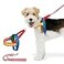 VETRESKA MoMA Dog Harness and Leash Set Easy Walk Dog Harness for Small Medium Dogs No Pull Puppy Harness for Walking and Training Adjustable Take Control AntiTwist Pet Lead ComboRed XS
