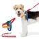 VETRESKA MoMA Dog Harness and Leash Set Easy Walk Dog Harness for Small Medium Dogs No Pull Puppy Harness for Walking and Training Adjustable Take Control AntiTwist Pet Lead ComboRed XS