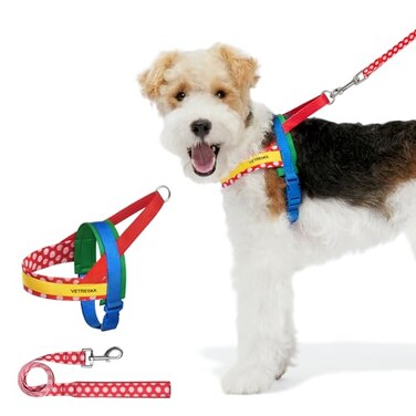 VETRESKA MoMA Dog Harness and Leash Set Easy Walk Dog Harness for Small Medium Dogs No Pull Puppy Harness for Walking and Training Adjustable Take Control AntiTwist Pet Lead ComboRed XS