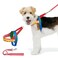VETRESKA MoMA Dog Harness and Leash Set Easy Walk Dog Harness for Small Medium Dogs No Pull Puppy Harness for Walking and Training Adjustable Take Control AntiTwist Pet Lead ComboRed XS