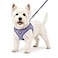 BELLAPAL BELLA PAL Step in Vest Harness for Small and Medium Dogs No Pull Small Dog Harness with Leash Set Comfortable Air Mesh Puppy Vest Harness with Reflective Strip Lavender XS