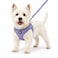 BELLAPAL BELLA PAL Step in Vest Harness for Small and Medium Dogs No Pull Small Dog Harness with Leash Set Comfortable Air Mesh Puppy Vest Harness with Reflective Strip Lavender XS