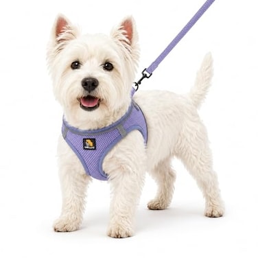BELLAPAL BELLA PAL Step in Vest Harness for Small and Medium Dogs No Pull Small Dog Harness with Leash Set Comfortable Air Mesh Puppy Vest Harness with Reflective Strip Lavender XS