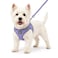 BELLAPAL BELLA PAL Step in Vest Harness for Small and Medium Dogs No Pull Small Dog Harness with Leash Set Comfortable Air Mesh Puppy Vest Harness with Reflective Strip Lavender XS