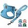 BELLAPAL BELLA PAL Step in Vest Harness for Small and Medium Dogs No Pull Small Dog Harness with Leash Set Comfortable Air Mesh Dog Vest Harness with Reflective Strip Sky Blue M