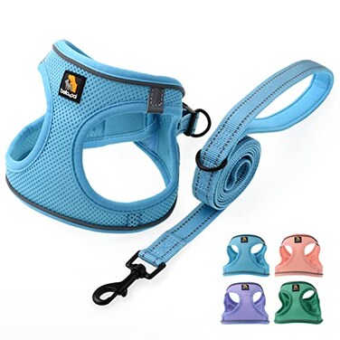 BELLAPAL BELLA PAL Step in Vest Harness for Small and Medium Dogs No Pull Small Dog Harness with Leash Set Comfortable Air Mesh Dog Vest Harness with Reflective Strip Sky Blue M