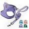 BELLAPAL BELLA PAL Step in Vest Harness for Small and Medium Dogs No Pull Small Dog Harness with Leash Set Comfortable Air Mesh Dog Vest Harness with Reflective Strip Lavender XXS