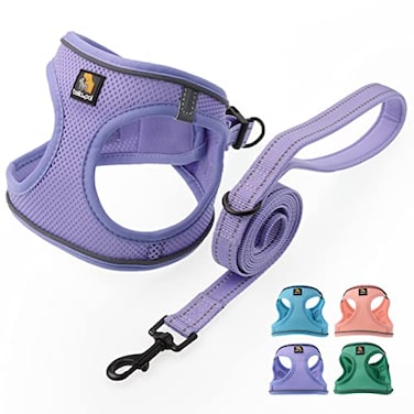 BELLAPAL BELLA PAL Step in Vest Harness for Small and Medium Dogs No Pull Small Dog Harness with Leash Set Comfortable Air Mesh Dog Vest Harness with Reflective Strip Lavender XXS
