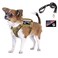 FXGOING Tactical Dog Harness with Leash Tactical Puppy Vest with Rubber Handle K9 Military Adjustable Pet Harness for Outdoor Training XS Dog Harness Brown Harness with Leash